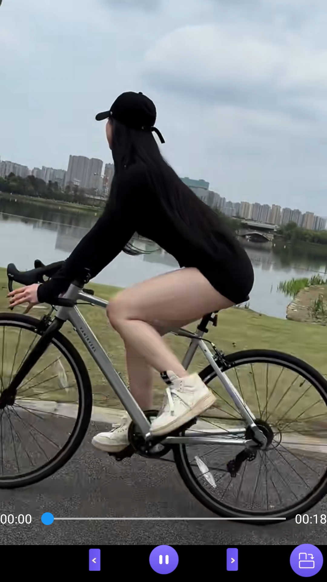全部主题截图
